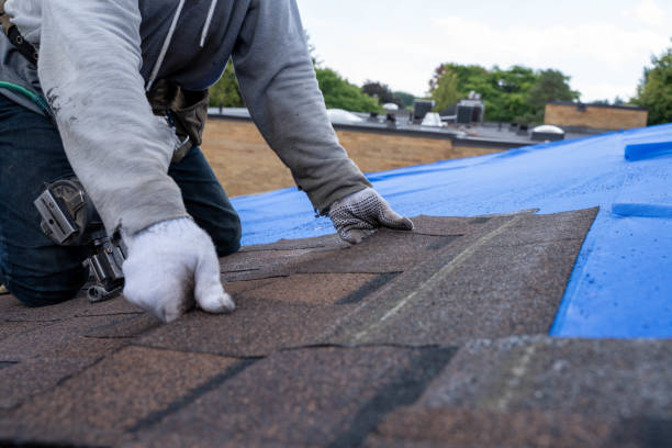 Best Residential Roofing Contractor  in Lake Shore, WA