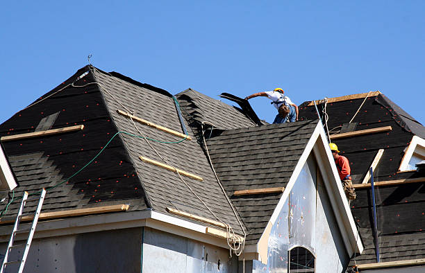 Best Gutter Installation and Roofing  in Lake Shore, WA