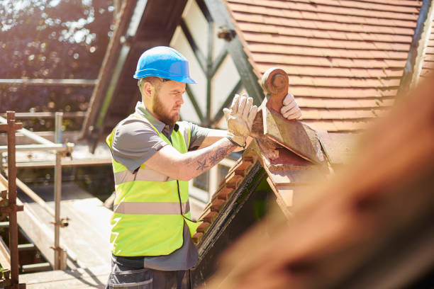Best Metal Roofing Contractor  in Lake Shore, WA