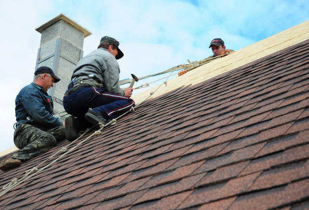 Best Residential Roofing Contractor  in Lake Shore, WA